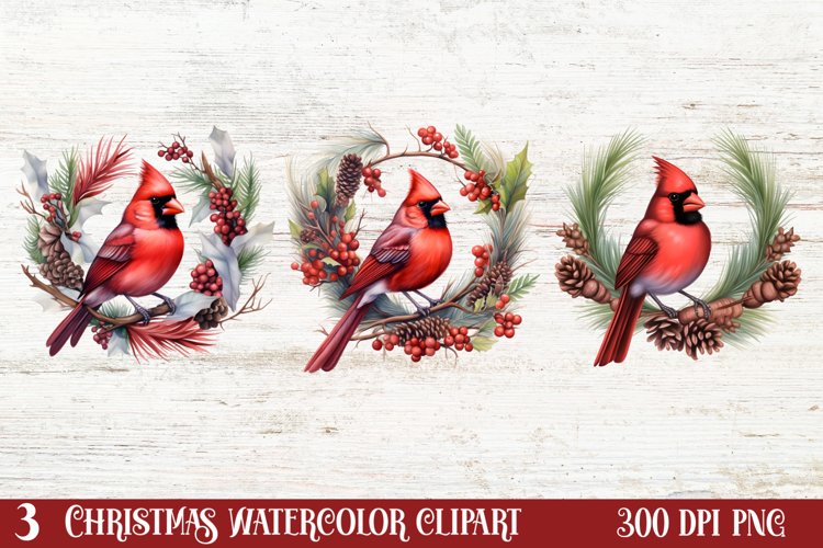 Cardinal Clipart Image 8