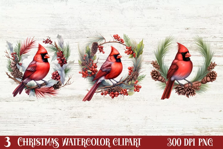 Christmas Cardinal Watercolor Clipart, Christmas Cardinal