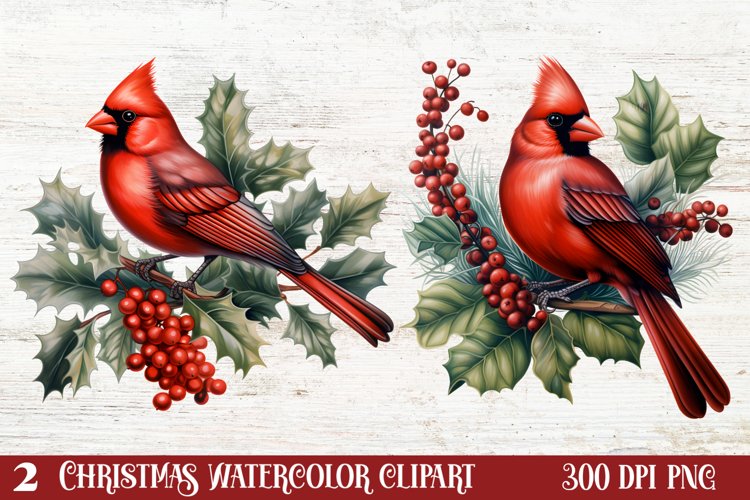 Christmas Cardinal Watercolor Clipart, Christmas Cardinal
