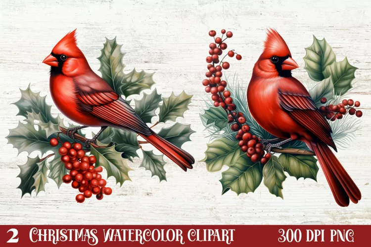 Christmas Cardinal Watercolor Clipart, Christmas Cardinal
