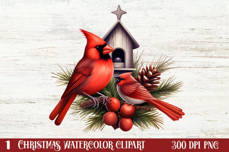 Christmas Cardinal Watercolor Clipart, Christmas Cardinal