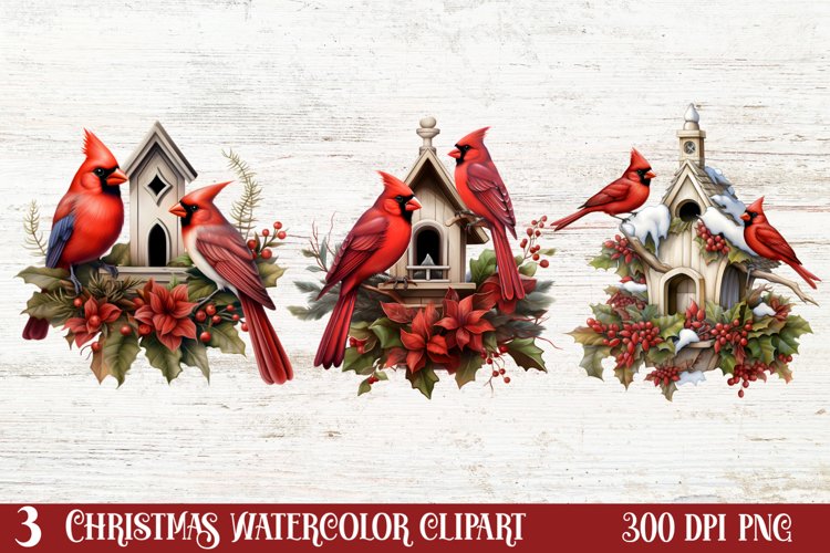 Cardinal Clipart Image 23