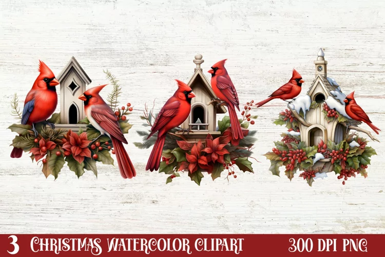 Christmas Cardinal Watercolor Clipart, Christmas Cardinal
