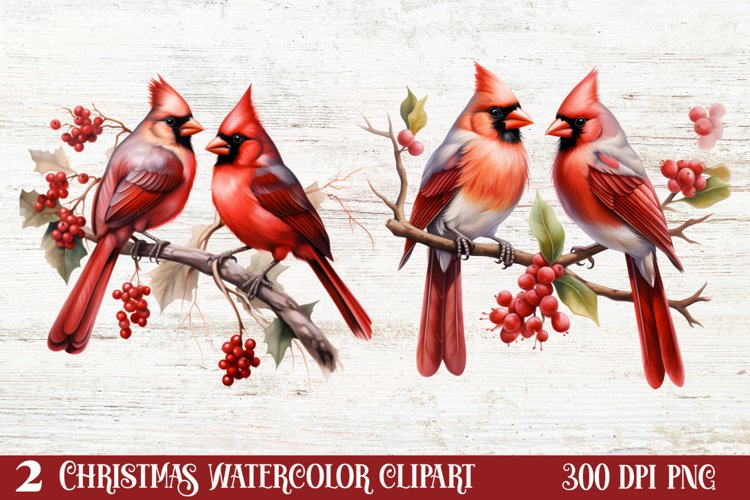 Greenery Clipart Image 19