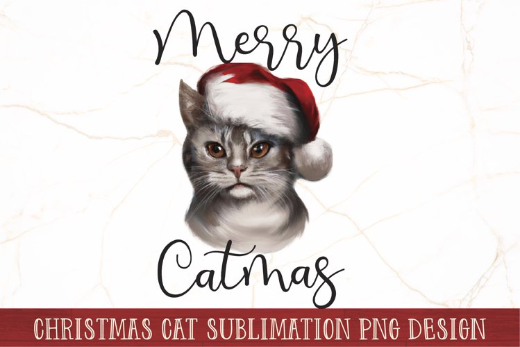 Cat Png Image 23