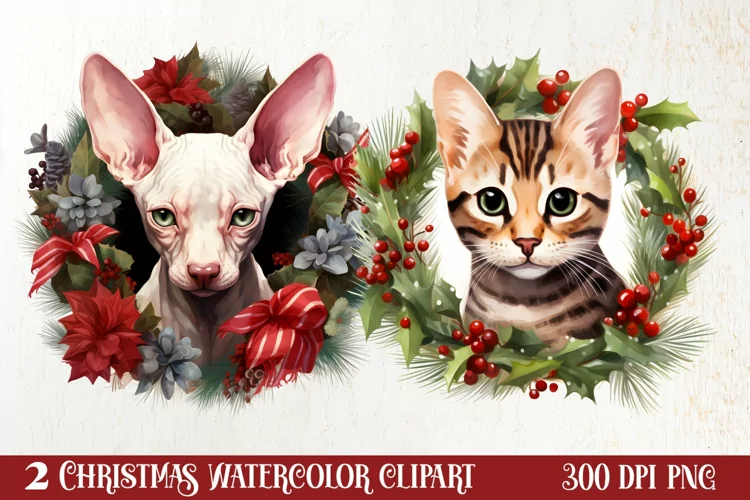 Christmas Cat Wreath Sublimation Clipart, Christmas Cat PNG