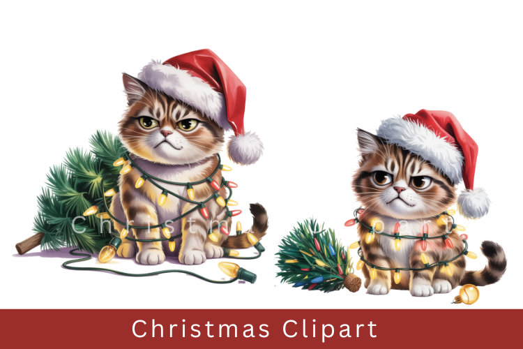 Cute Christmas Animal Clipart Cozy Winter Holiday PNG