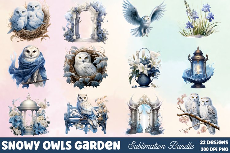 Owl Clipart Image 24