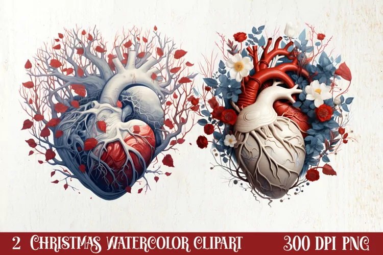 Watercolor Christmas Floral Hearts Clipart
