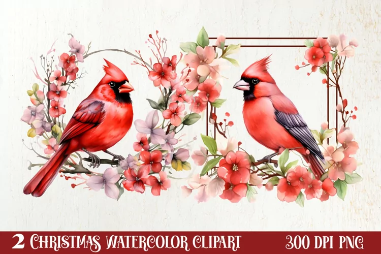 Christmas Collection Clipart Sublimation, Christmas PNG