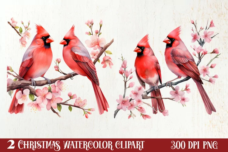 Christmas Collection Clipart Sublimation, Christmas PNG