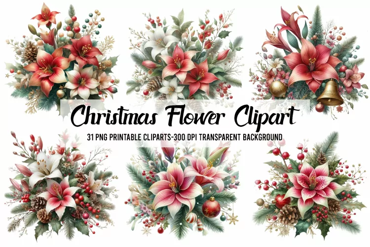 Christmas Flower Watercolor Clipart