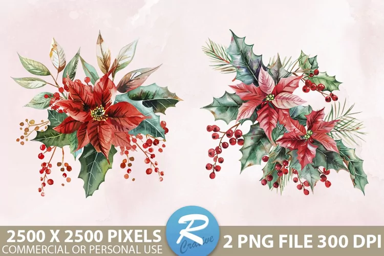 Christmas Flower Illustration PNG Clipart