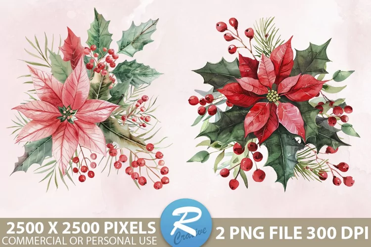 Christmas Flower Illustration PNG Clipart