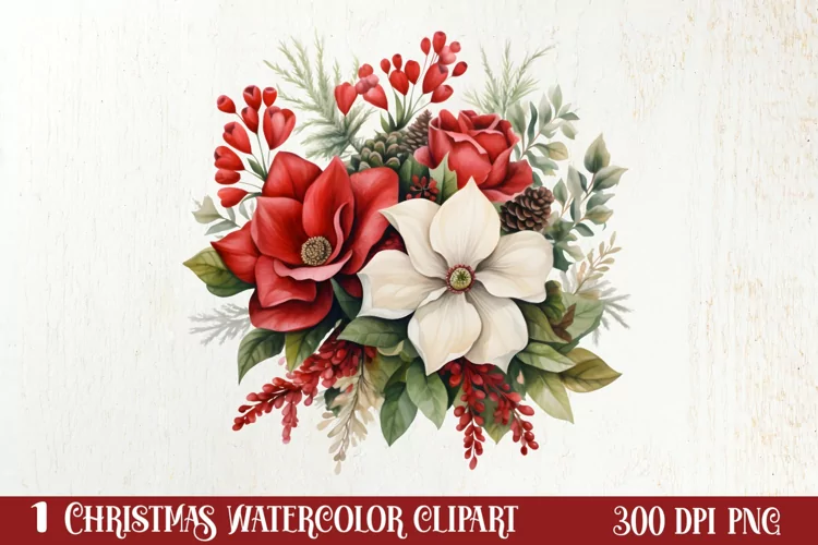 Christmas Flowers Watercolor Clipart, Christmas PNG