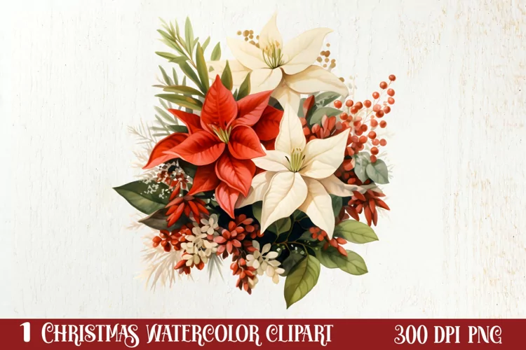 Christmas Flowers Watercolor Clipart, Christmas PNG