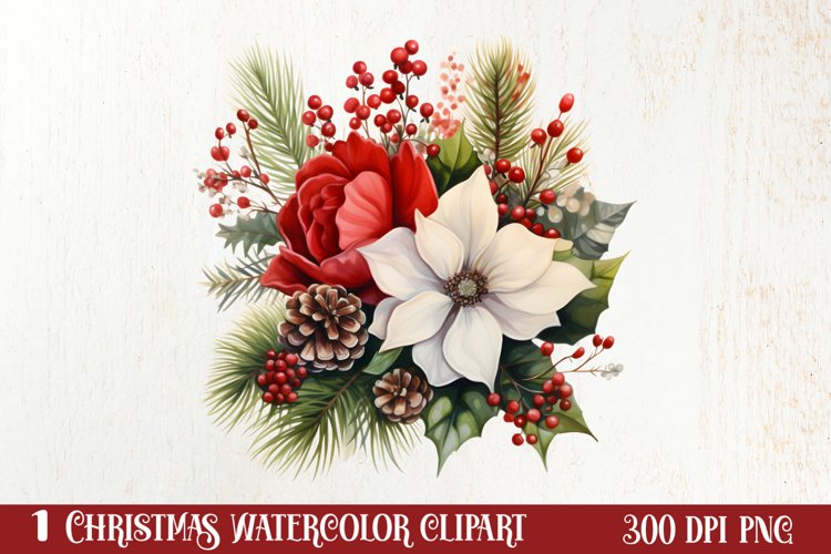 Christmas Flowers Watercolor Clipart, Christmas PNG