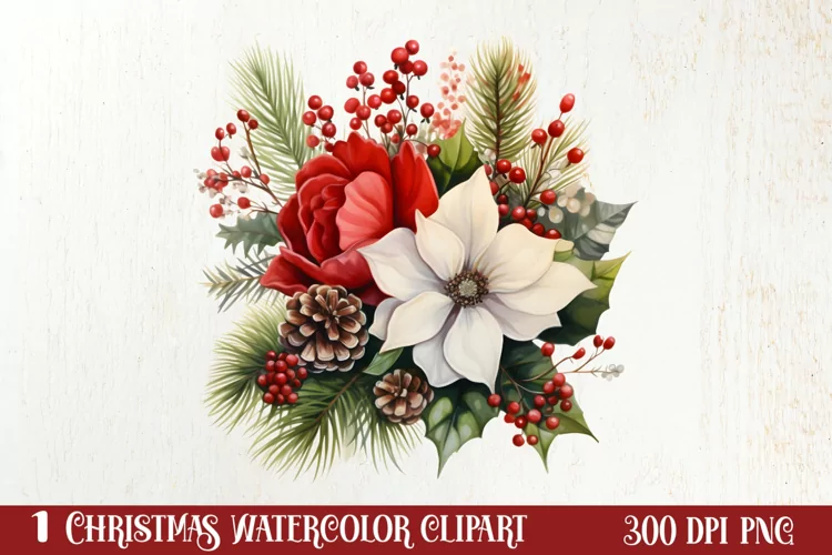 Christmas Flowers Watercolor Clipart, Christmas PNG