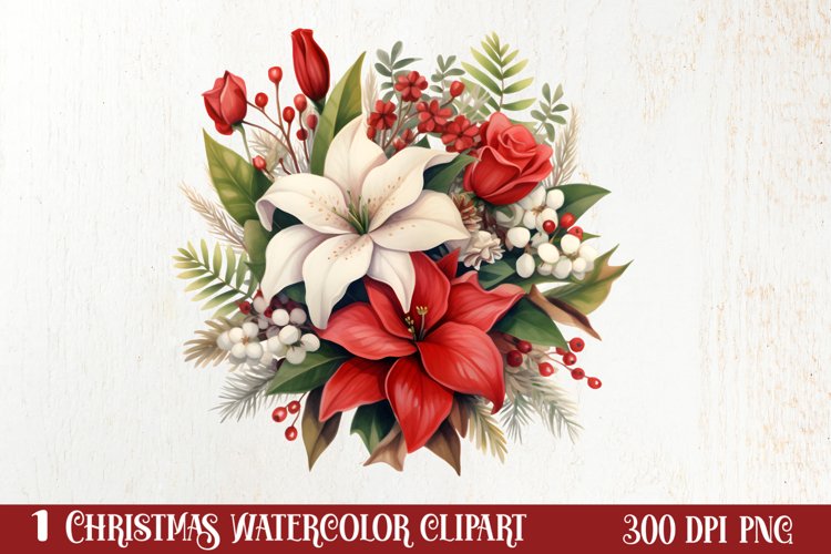 Christmas Flowers Watercolor Clipart, Christmas PNG