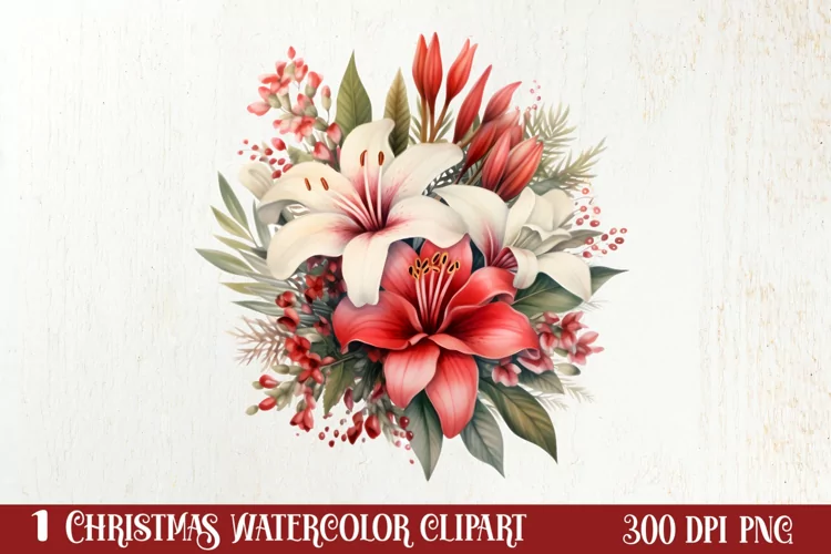 Christmas Flowers Watercolor Clipart, Christmas PNG