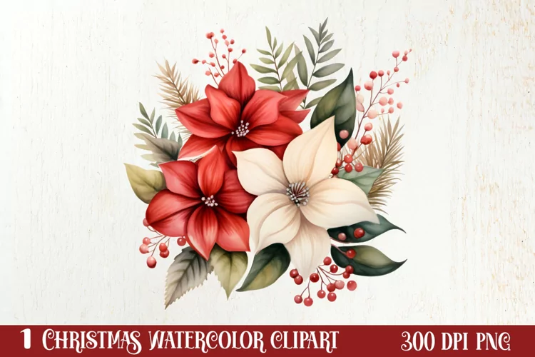 Christmas Flowers Watercolor Clipart, Christmas PNG
