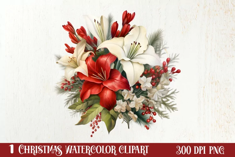 Christmas Flowers Watercolor Clipart, Christmas PNG