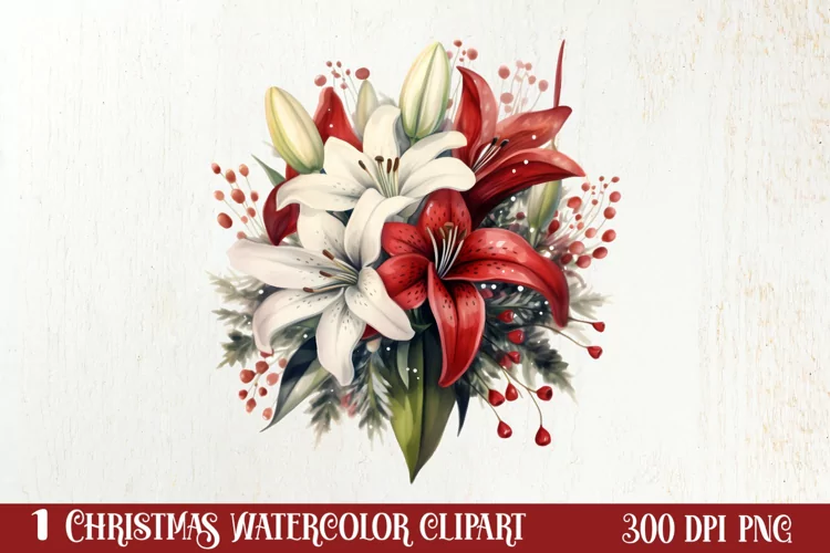 Christmas Flowers Watercolor Clipart, Christmas PNG