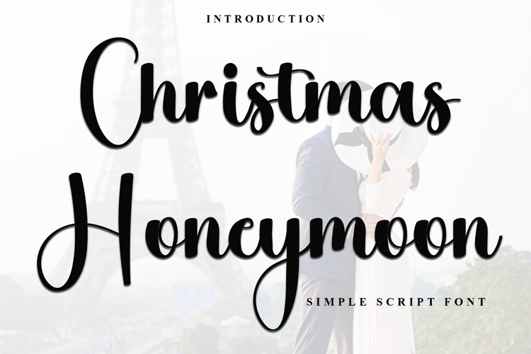 Christmas Honeymoon example image 1