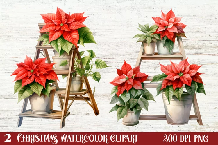 Christmas Houseplants Clipart Sublimation