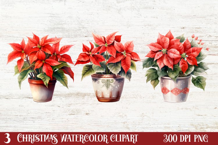 Christmas Houseplants Clipart Sublimation