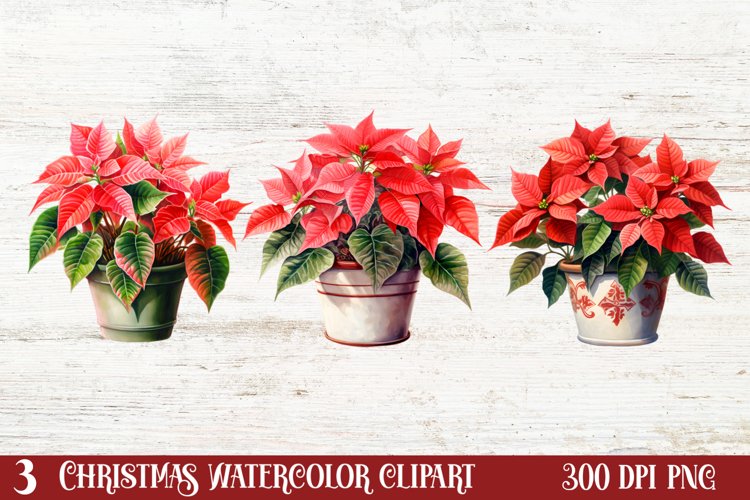 Christmas Houseplants Clipart Sublimation