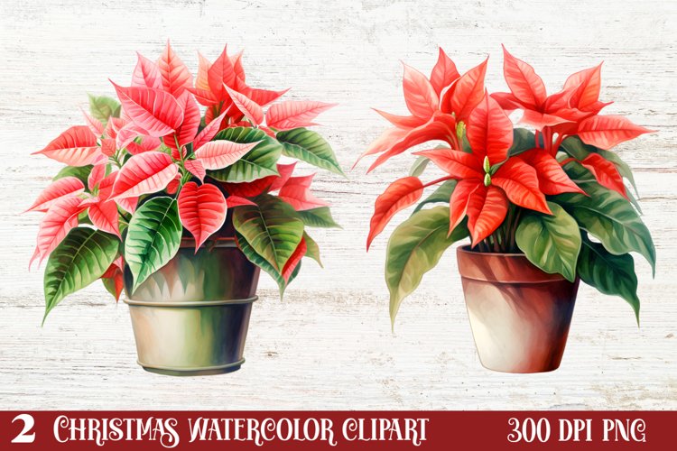 Christmas Houseplants Clipart Sublimation example image 1