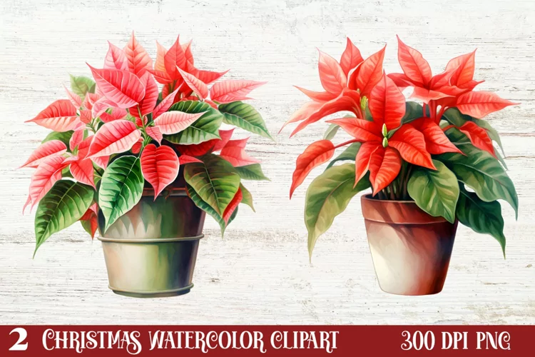Christmas Houseplants Clipart Sublimation