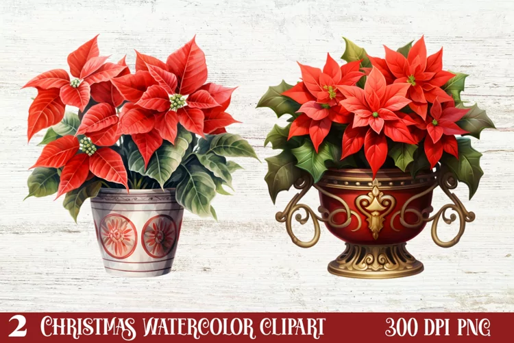 Christmas Houseplants Clipart Sublimation