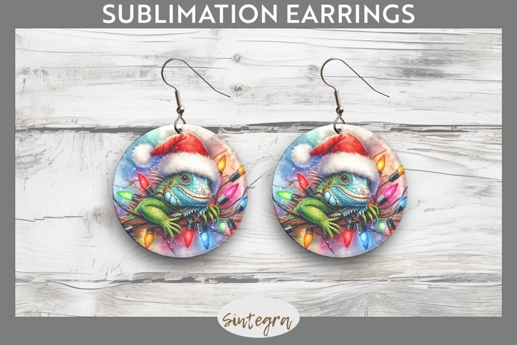 Earrings Png Image 17