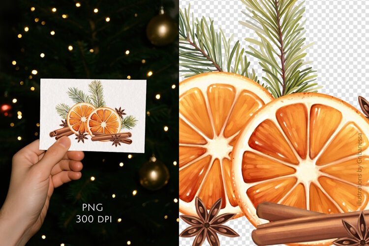 Christmas Orange Slices with Cinnamon and Pine PNG
