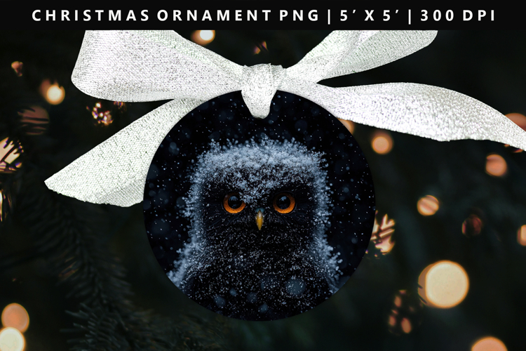 Owl Round Christmas Ornament Sublimation PNG