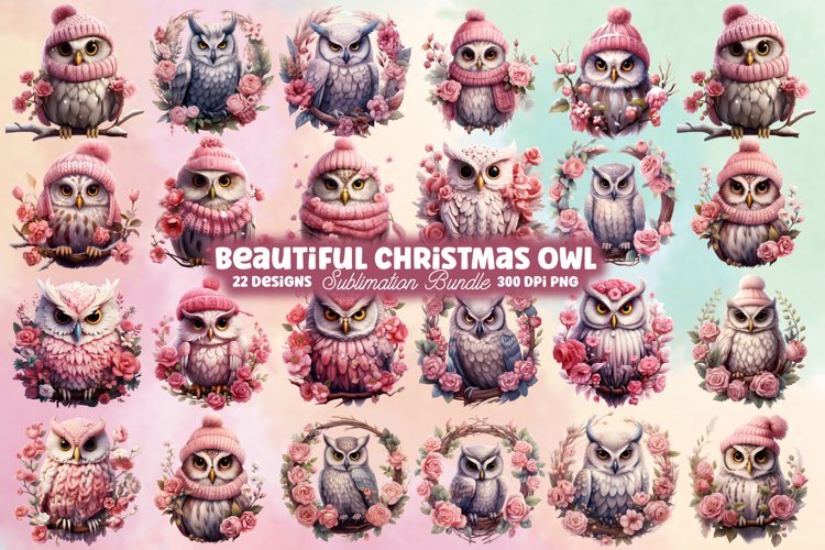Owl Clipart Image 15