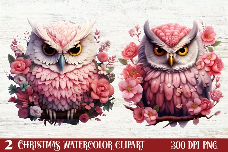 Christmas Owl Clipart, Christmas Owl Clipart, Christmas Owl