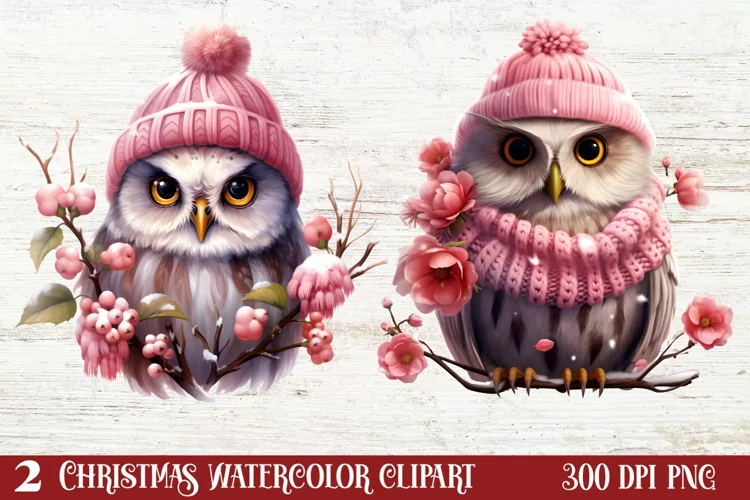 Christmas Owl Clipart, Christmas Owl Clipart, Christmas Owl