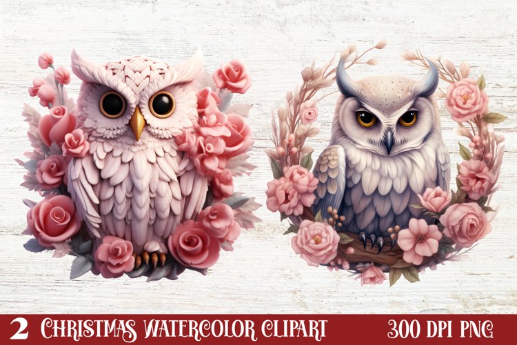 Owl Clipart Image 15