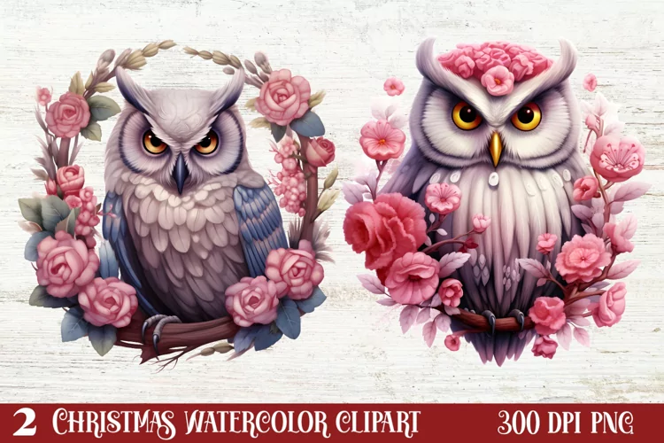Christmas Owl Clipart, Christmas Owl Clipart, Christmas Owl