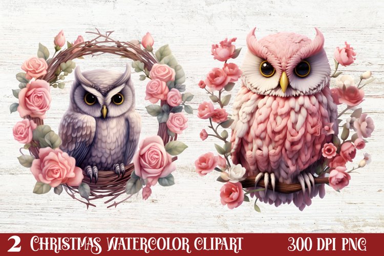 Owl Clipart Image 17