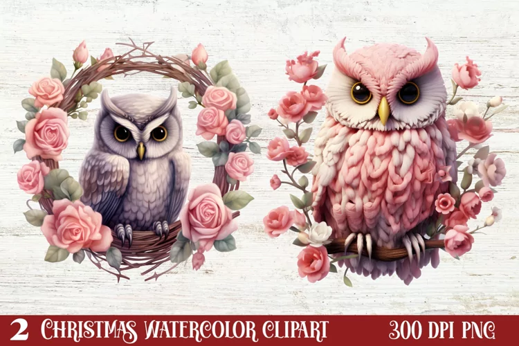 Christmas Owl Clipart, Christmas Owl Clipart, Christmas Owl