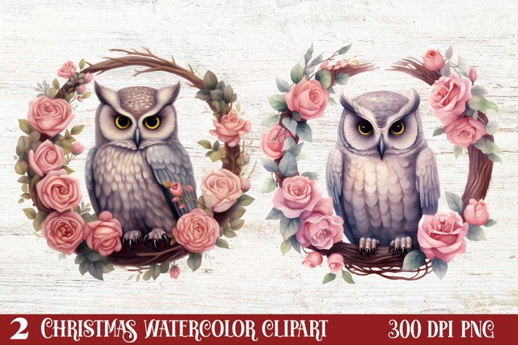 Owl Clipart Image 7