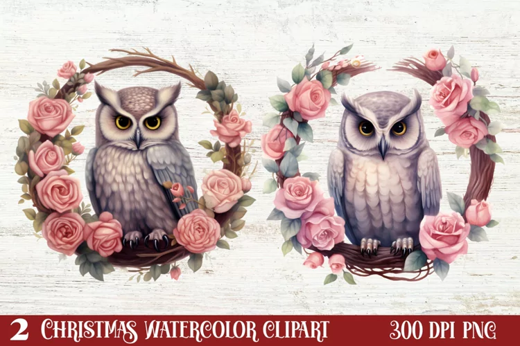 Christmas Owl Clipart, Christmas Owl Clipart, Christmas Owl