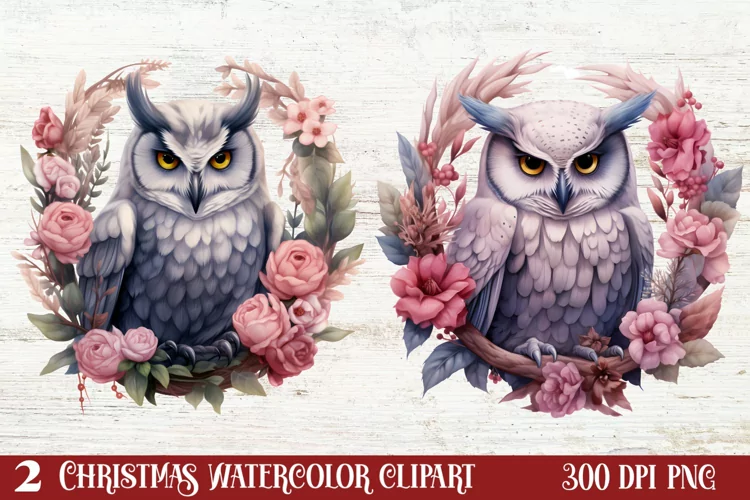 Christmas Owl Clipart, Christmas Owl Clipart, Christmas Owl