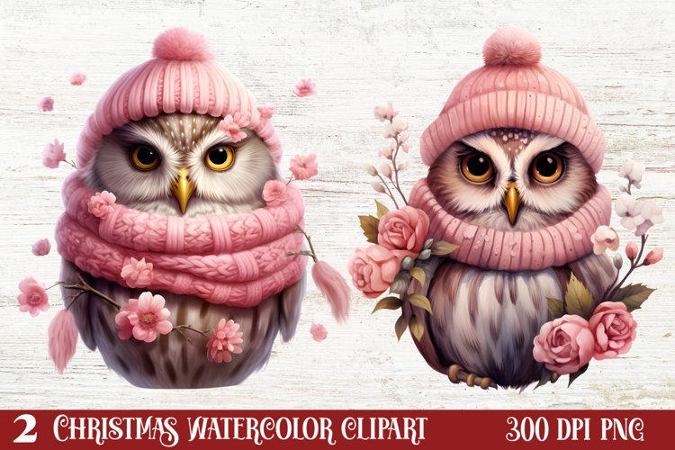 Owl Clipart Image 15