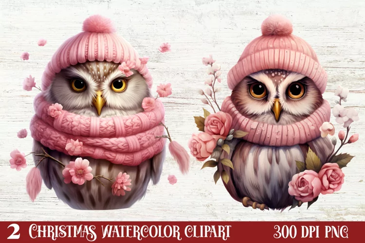 Christmas Owl Clipart, Christmas Owl Clipart, Christmas Owl