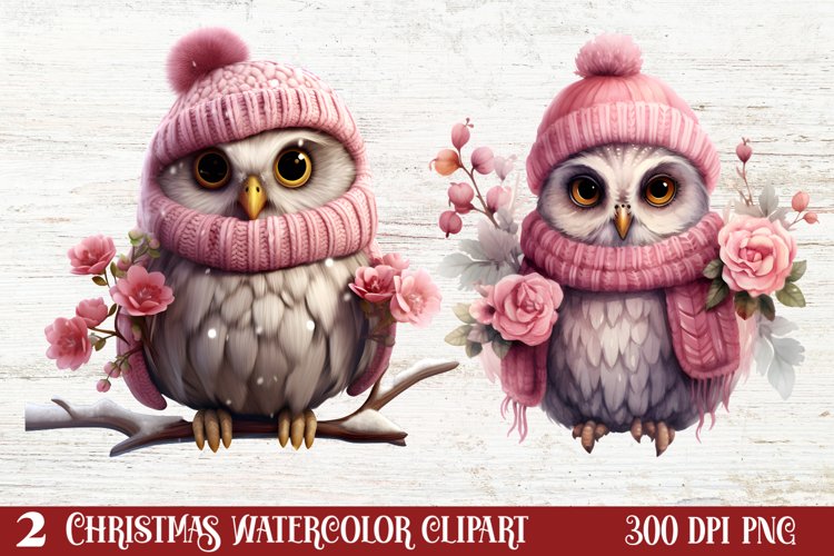 Owl Clipart Image 4